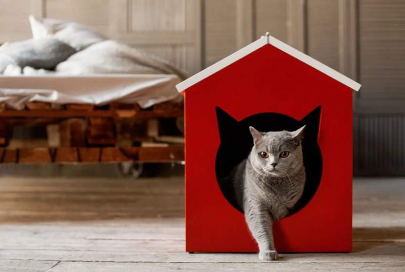 Домик для кошки своими руками, как сделать домик из подручных материалов,  разные модели и требования к конструкции