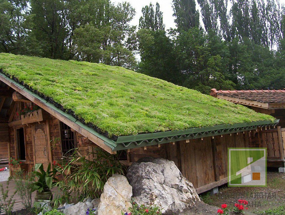 Технология высадки газона на крыше дома