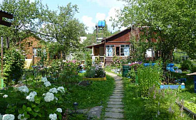 ИЖС или СНТ в чем разница, плюсы и минусы земельных участков