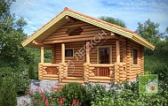 Проект бани «Сатурн»