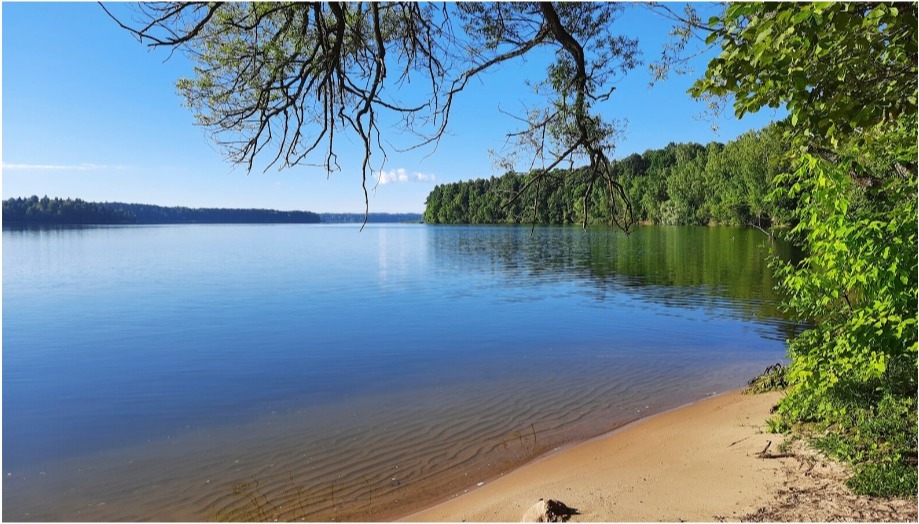 Приступаем к строительству дома на берегу Истринского водохранилища.