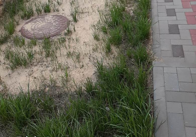 Пошаговая инструкция обустройства септика в загородном доме